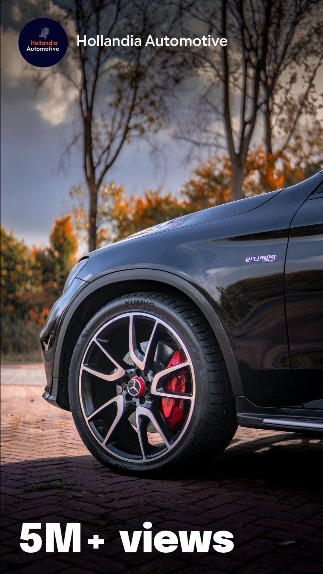 Gallery gallery_images_6_1_17749506461488059637.jpg  | Yanse.nl